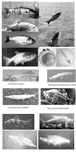 b330eafefca03919c856efc39f0e6d5b